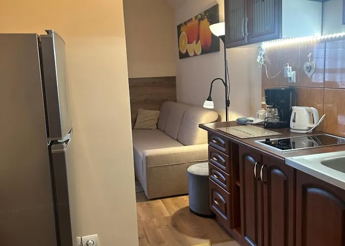 Lägenhet I Domino Parking W Cenie ! *