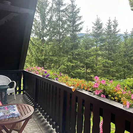 아파트 I Domino Parking W Cenie ! 카르파츠