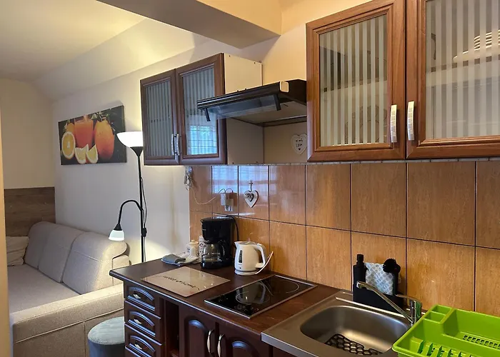 I Domino Parking W Cenie ! קרפאז'