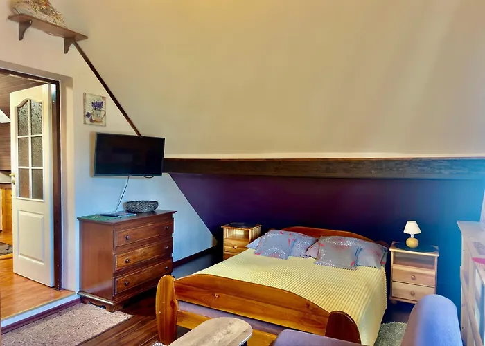 I Domino Parking W Cenie ! קרפאז'